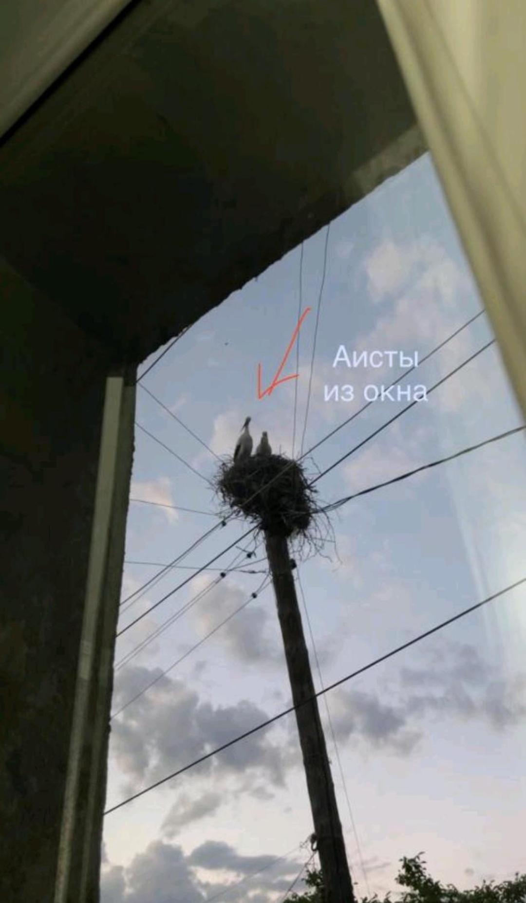 Liviti Hotel Areni Kültér fotó